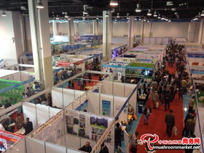 3000多项食用菌产品技术亮相青岛会展