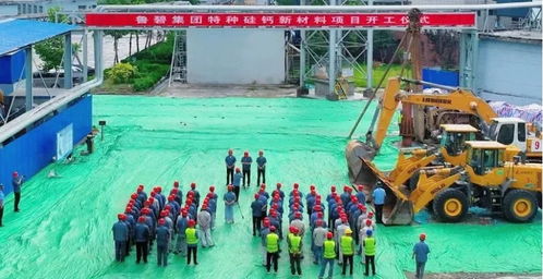 鲁碧集团特种硅钙新材料项目正式开工