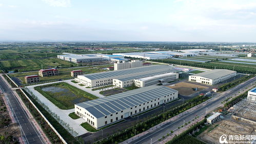 青农大明年春季启用 平度南村加快临空经济区建设