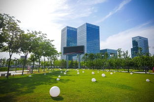 凰探 十年高新铸就产业新引擎 谁是新动能的引领者