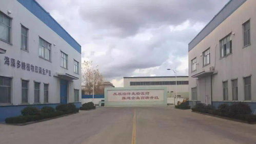 头版头条 新区获赞 媒体看新区