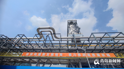 总投资229亿元的10个重点项目在西海岸新区竣工投产