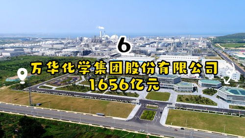 山东国企营收十强格局 济青双核领跑，新材料产业闪耀青岛